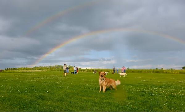 Dog Park at Capital Springs Recreation Area photo 1